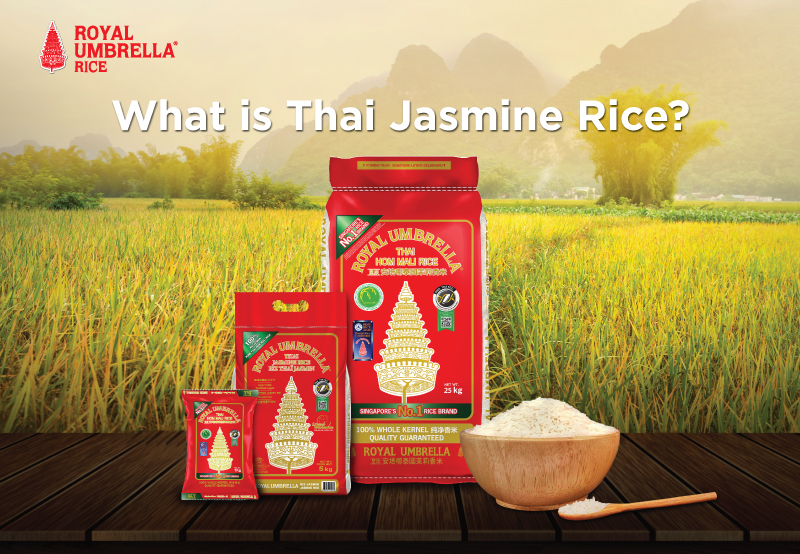 What is Thai Jasmine Rice