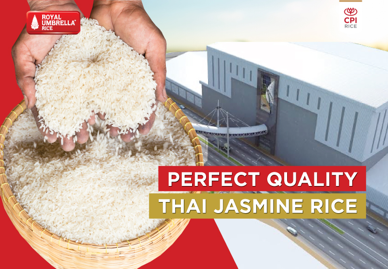 Perfect Quality Thai jasmine rice 