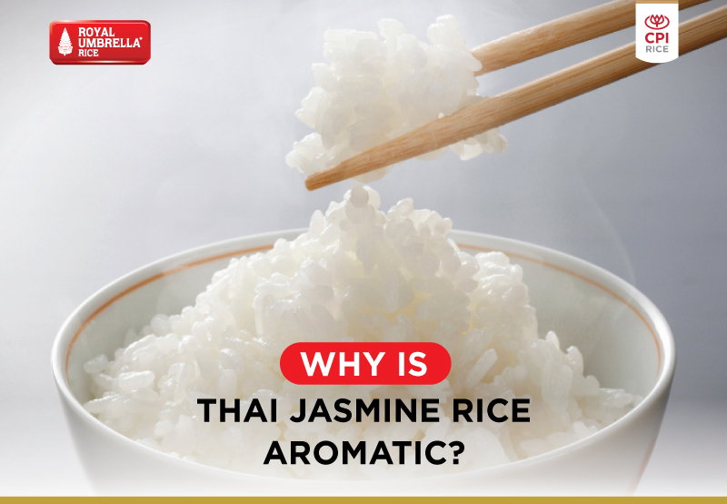 Why is Thai jasmine rice aromatic