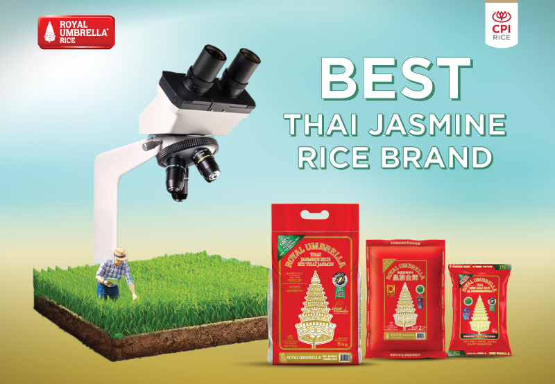 Best Thai Jasmine Rice Brand Royal Umbrella